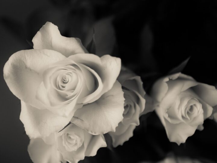 Aki Sirkesalo -kiertue syksyllä