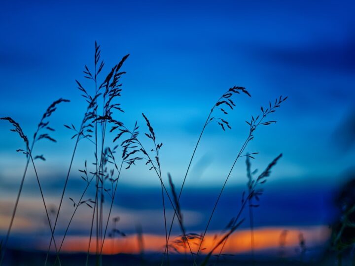 Vahvistin-vertaisryhmämallilla hyvinvointia taide-, kulttuuri- ja tapahtuma-aloille