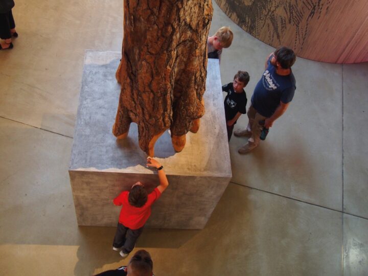 Uudistunut Lusto lunasti suuren yleisön odotukset