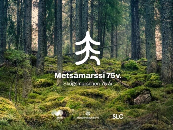 Metsämarssi täyttää 75 vuotta – kestävää metsänhoitoa juhlitaan Narinkkatorilla