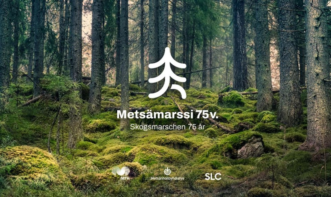 Metsämarssi täyttää 75 vuotta – kestävää metsänhoitoa juhlitaan Narinkkatorilla