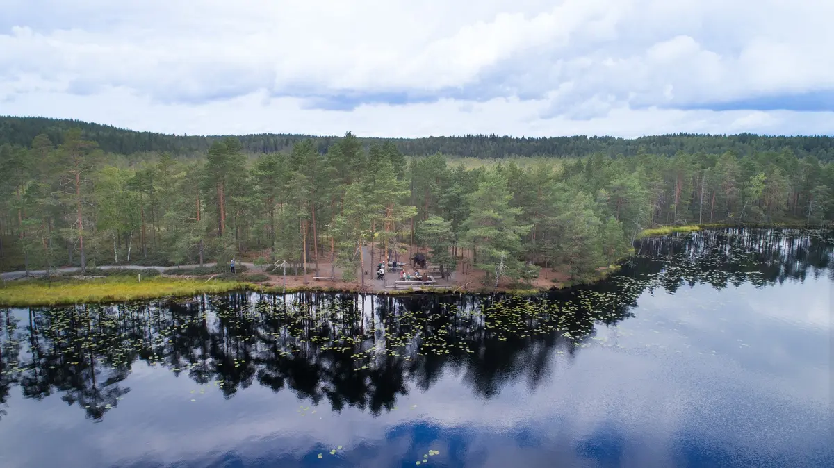 Lopella sijaitsevan Rautasuon ennallistamistyöt alkavat heinäkuussa