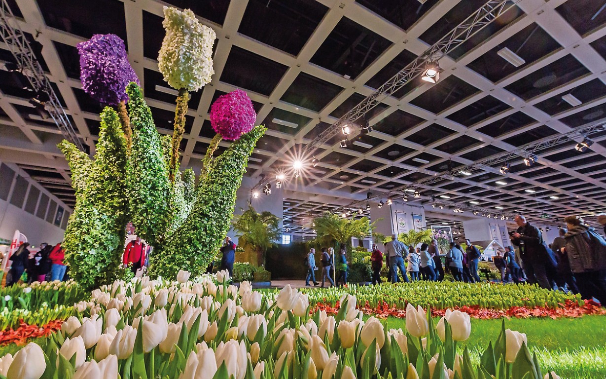 Grüne Woche on iso ikkuna Saksan markkinoilleTeksti Vesa-Pekka Järvelä