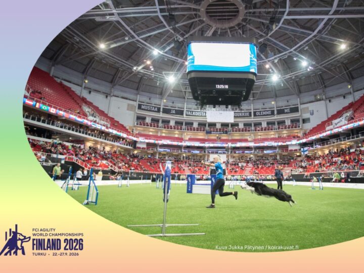 Agilityn MM-kilpailut syksyllä Turussa