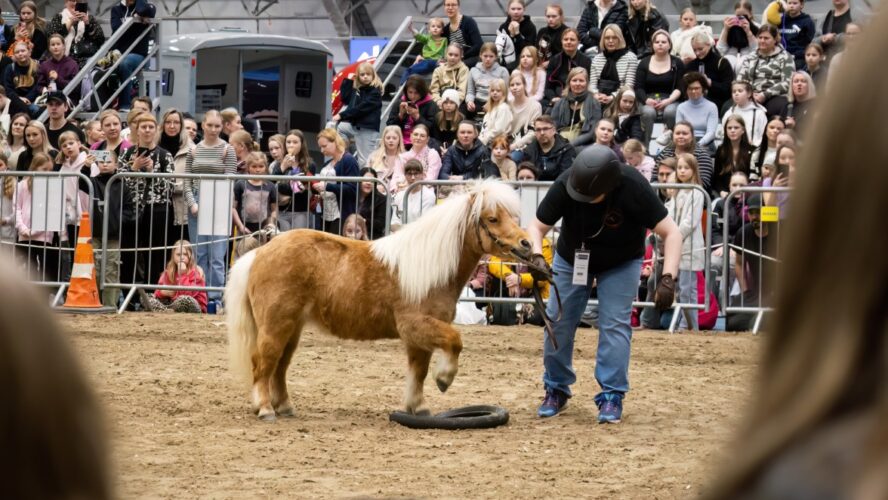 Suomen monipuolisin hevosalan tapahtuma Tampereella
