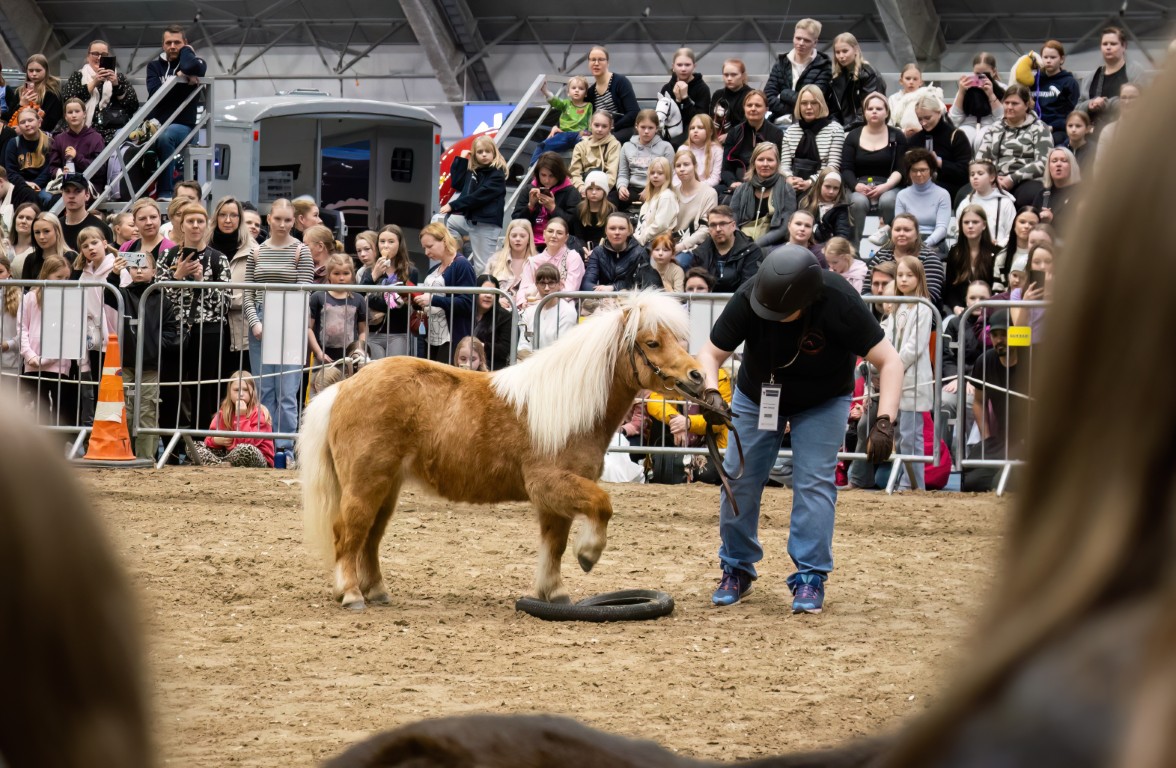 Suomen monipuolisin hevosalan tapahtuma Tampereella