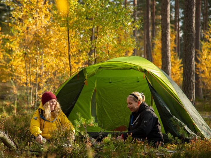 Kesän suurin partioleiri Ilves26 kokoaa 3 700 osallistujaa viikoksi Evolle ilman arjen ruutukuormaa