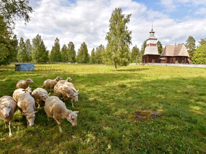 Satsauksia kulttuuriperintöön ja arjen elinvoimaan – Keski-Suomeen 4,9 miljoonaa euroa maaseuturahoitusta