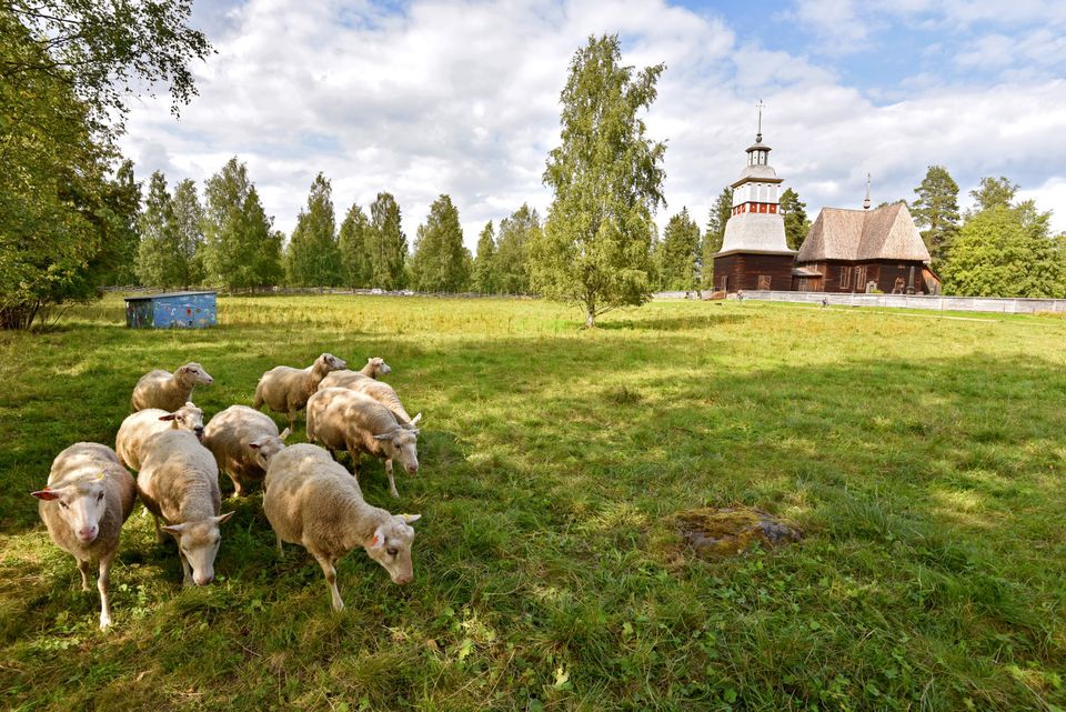 Satsauksia kulttuuriperintöön ja arjen elinvoimaan – Keski-Suomeen 4,9 miljoonaa euroa maaseuturahoitusta