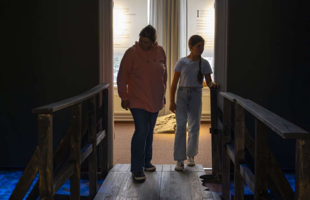 Kun museo katsotaan uusin silmin – saavutettavuus nousee kohtaamispaikkojen ytimeen
