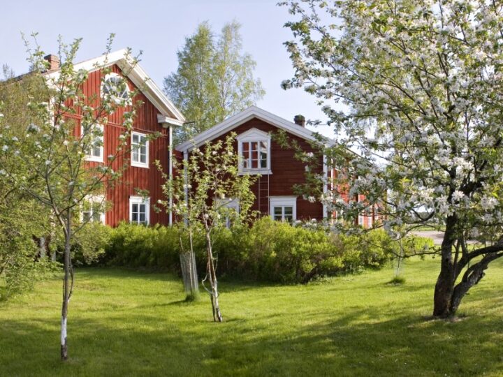 Kauhajoen Ruokamessut kutsuu juhlimaan suomalaista ruokaa