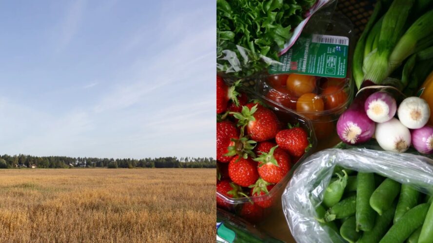 Kajaanissa tehdään ruokaketjua tutuksi