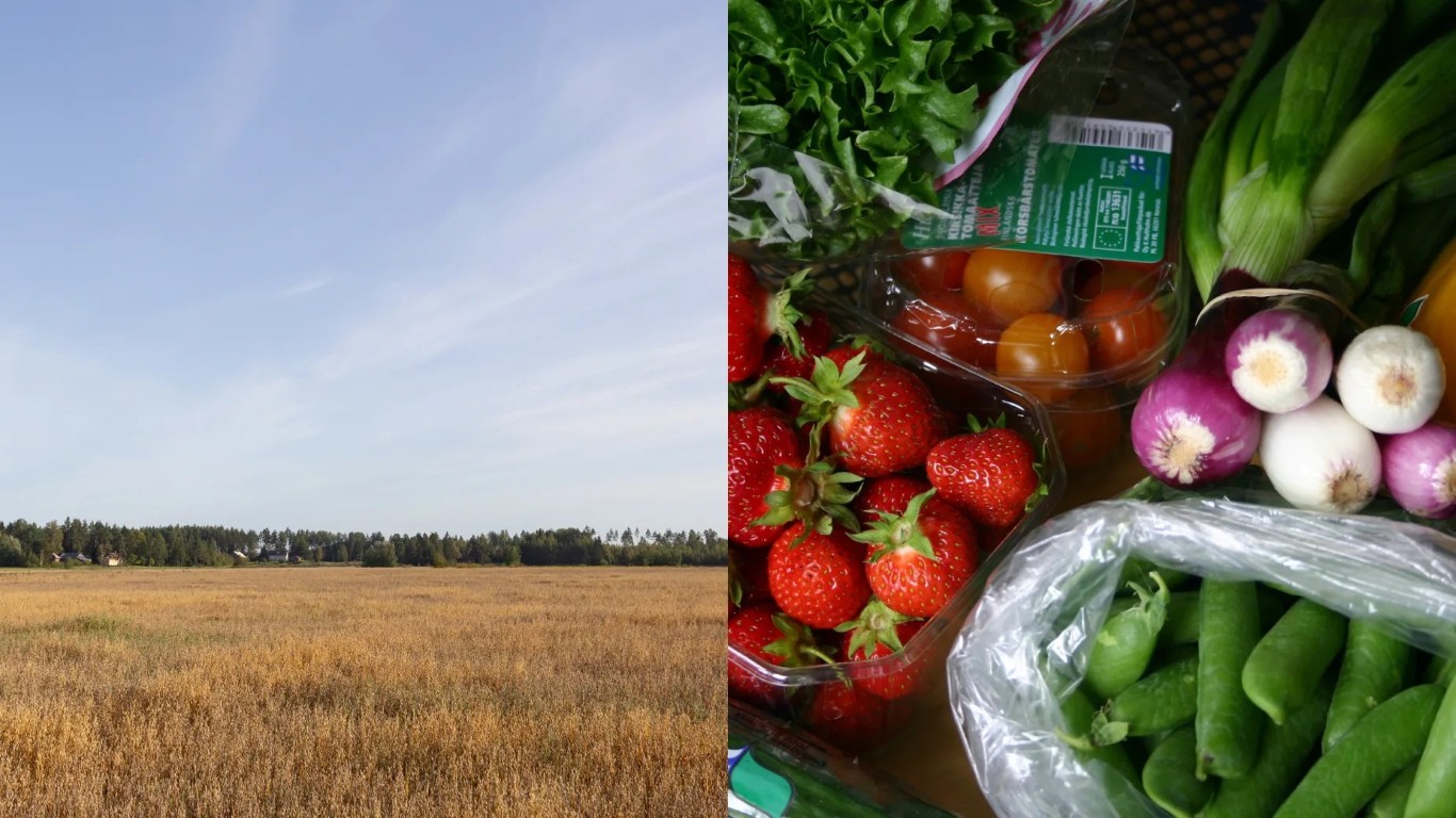Kajaanissa tehdään ruokaketjua tutuksi