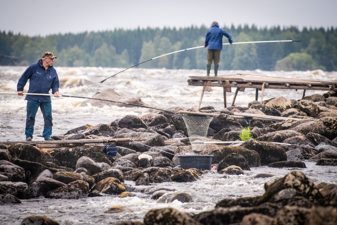 Tornion Kotiseutupäivät esittelee pohjoista osaamista