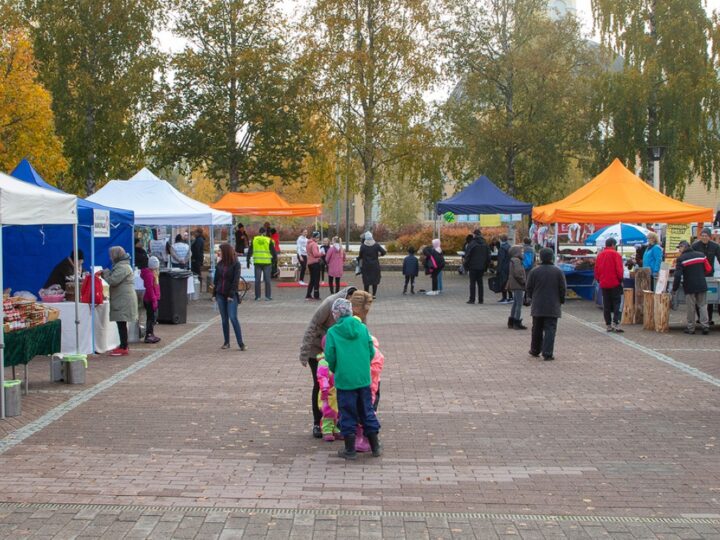 Kurikan Sadonkorjuutori tuo näkyväksi maataloutta