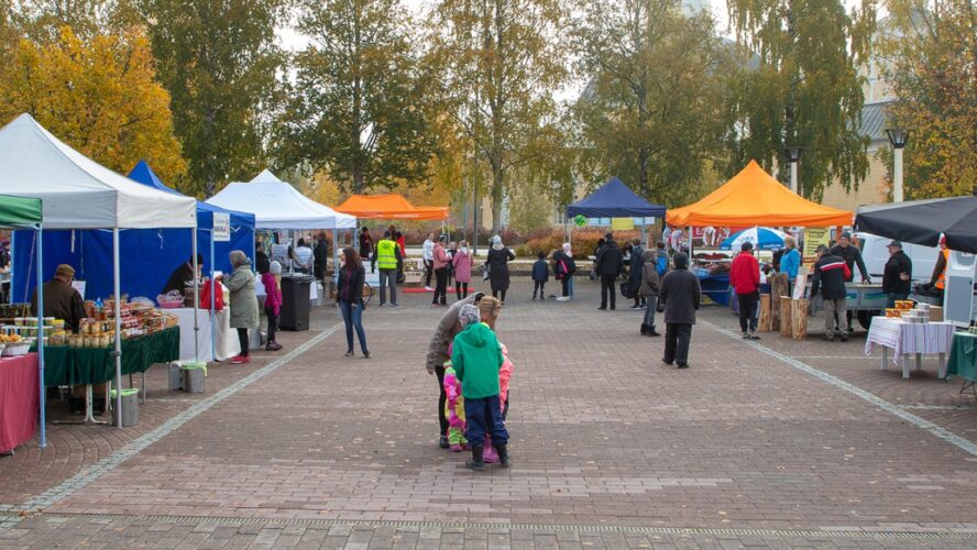 Kurikan Sadonkorjuutori tuo näkyväksi maataloutta